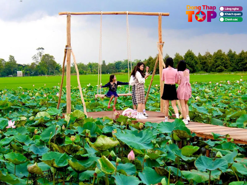 Khu-du-lich-dong-sen-thap-muoi-dongthaptoplist