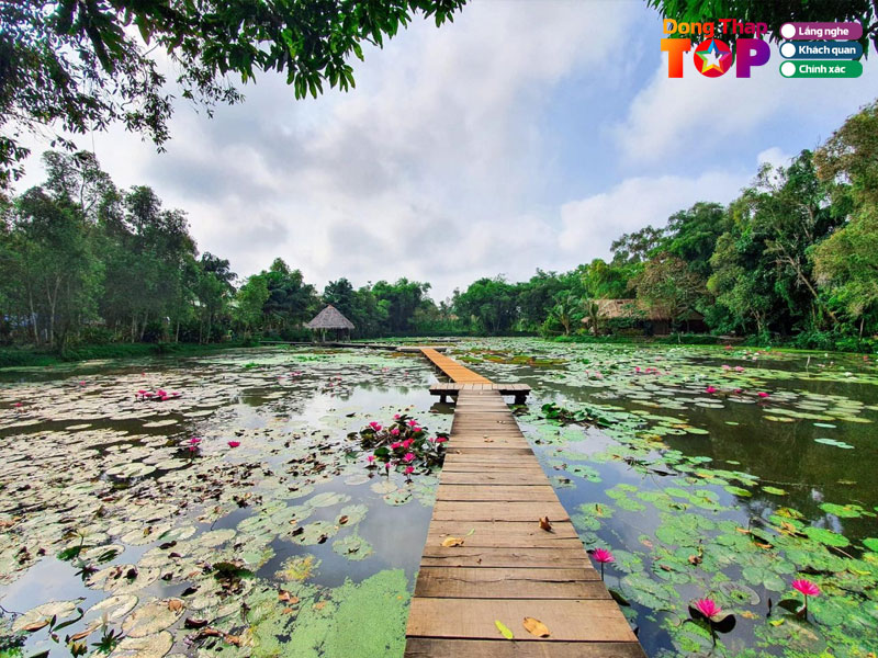 Khu-du-lich-xeo-quyt-dongthaptoplist