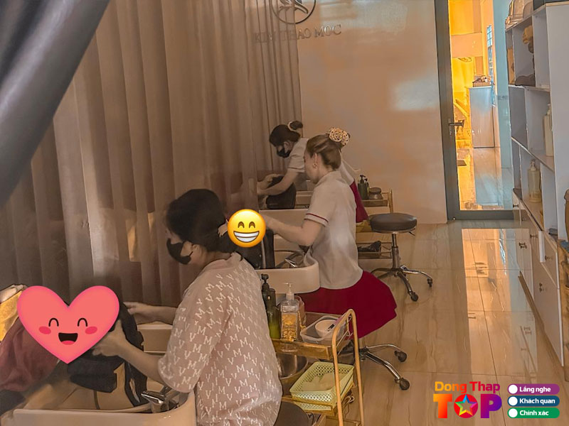 Kim-thao-moc-dongthaptoplist