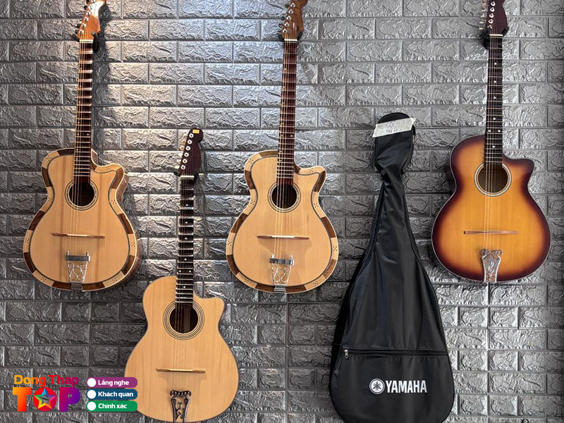 Nhac-cu-le-hoang-dongthaptoplist