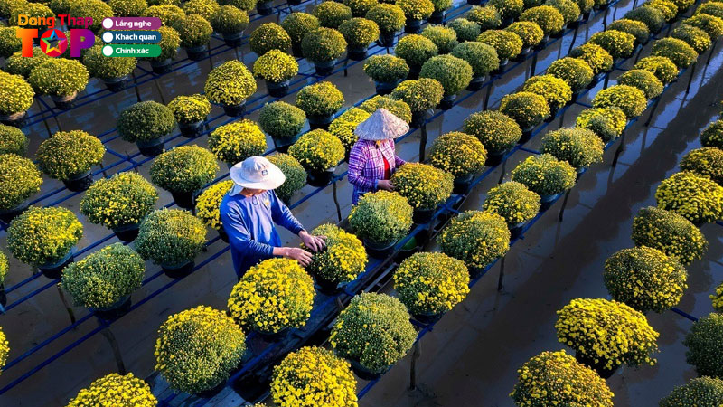 Check-in-10-toa-do-khong-nen-bo-lo-khi-du-lich-sa-dec-o-dong-thap-dongthaptoplist