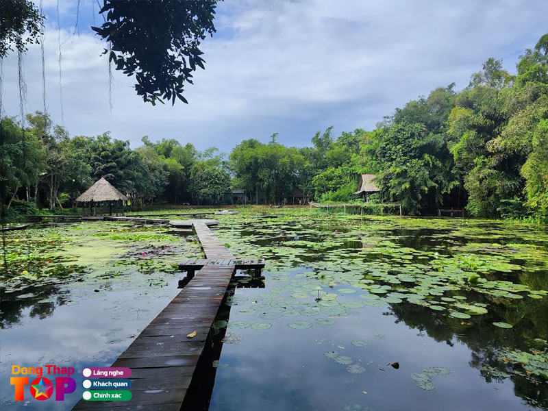 Dong-sen-o-khu-du-lich-xeo-quyt-dongthaptoplist