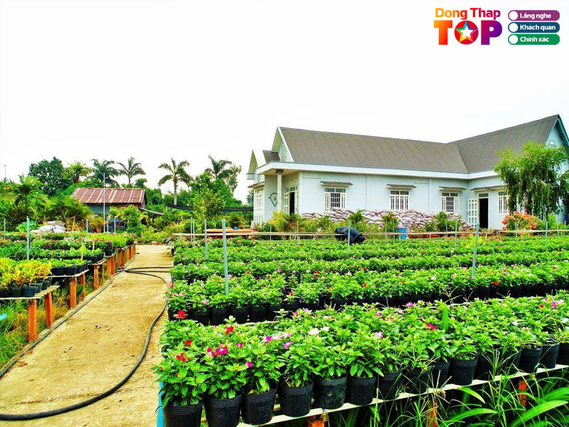 Flower-village-homestay-dongthaptoplist