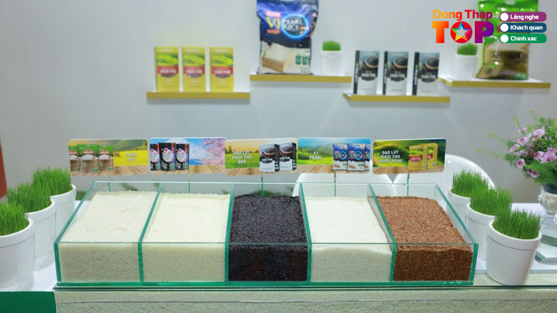 Gao-vinarice-sinh-ra-tu-vung-dat-lua-sen-dong-thap-1-dongthaptoplist