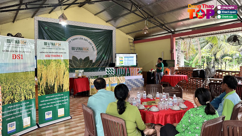 Gao-vinarice-sinh-ra-tu-vung-dat-lua-sen-dong-thap-2-dongthaptoplist