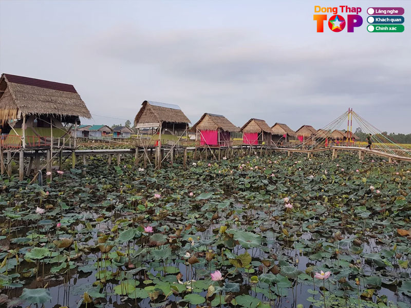 Hai-lua-homestay-dongthaptoplist