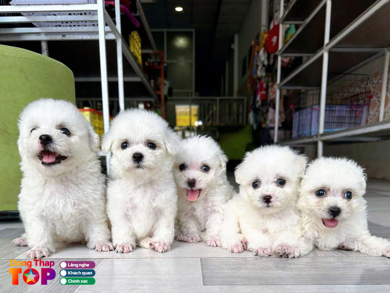 Happy-pet-shop-dongthaptoplist