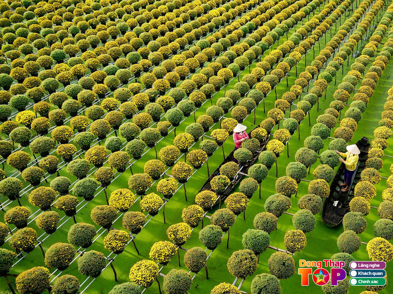 Lang-hoa-sa-dec-dongthaptoplist