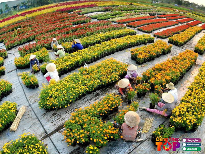 Lang-nghe-hoa-kieng-sa-dec-dongthaptoplist