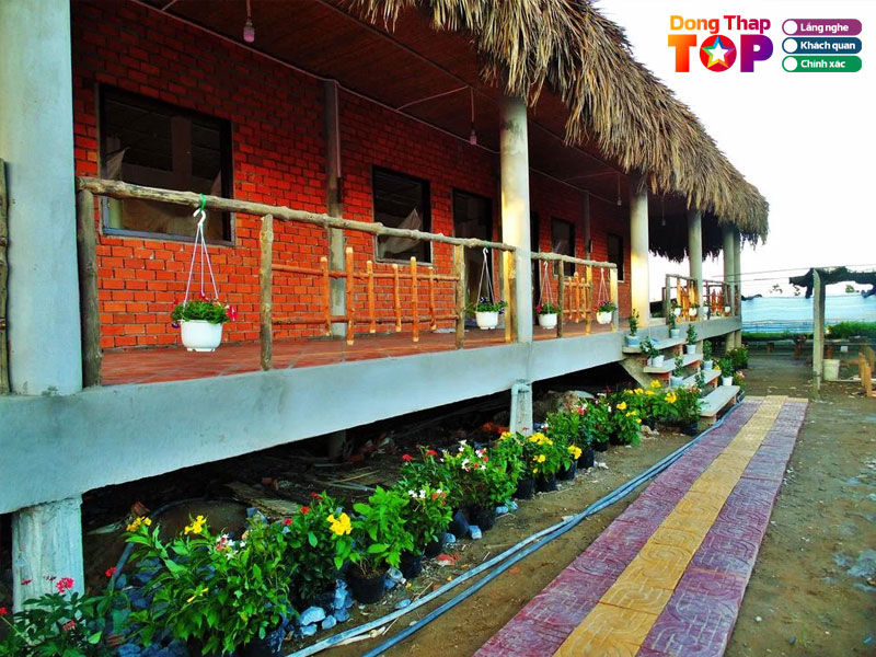 Ngoi-nha-hoa-ech-flower-frog-homestay-dongthaptoplist