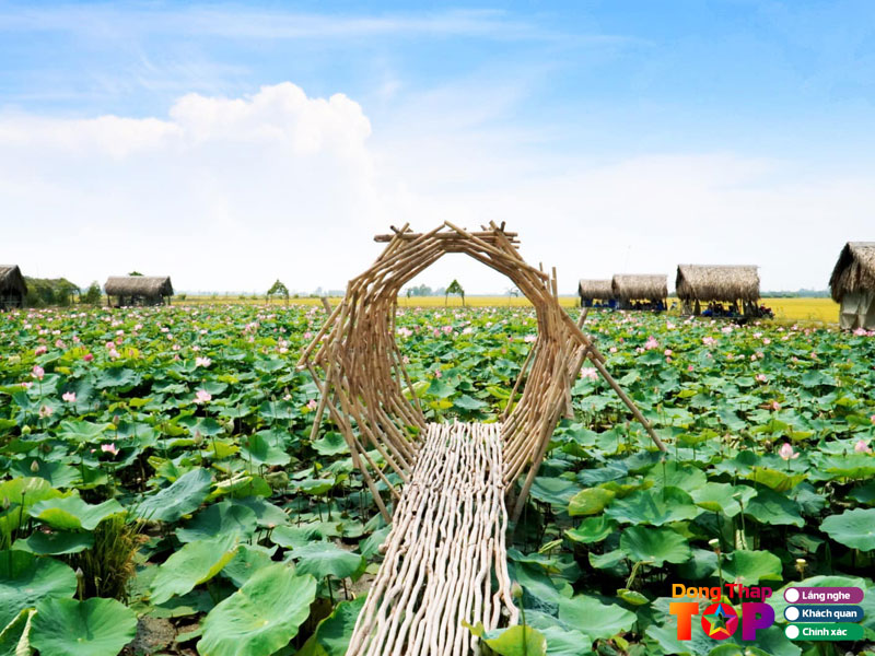Nhung-luu-y-khi-den-tham-quan-cac-dong-sen-dongthaptoplist