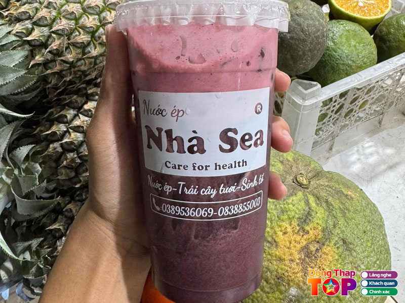 Nuoc-ep-nha-sea-dongthaptoplist