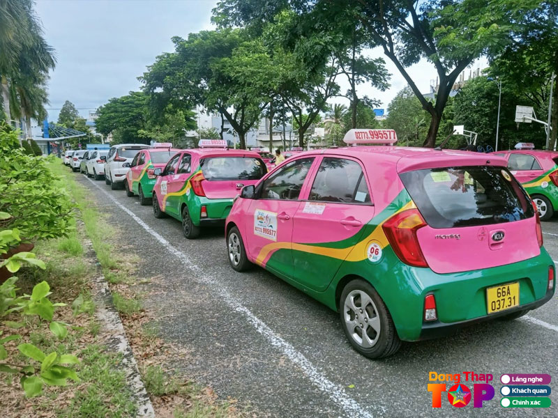 Taxi-sen-hong-dongthaptoplist