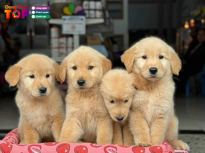 Tieu-chi-chon-dia-chi-ban-cho-canh-uy-tin-dongthaptoplist