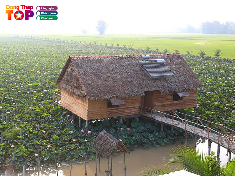 Tu-ca-linh-homestay-dongthaptoplist