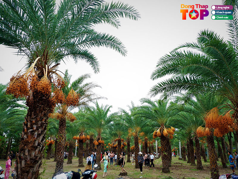 Vuon-cha-la-dongthaptoplist