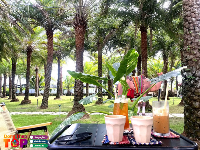 Cac-hoat-dong-trai-nghiem-tai-vuon-cha-la-sa-dec-1-dongthaptoplist