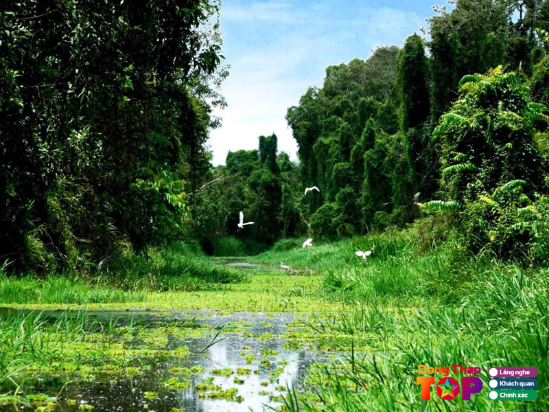 Cac-trai-nghiem-du-lich-hap-dan-tai-gao-giong-dong-thap-1-dongthaptoplist