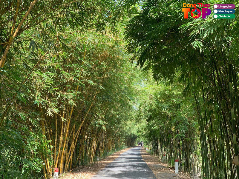 Cac-trai-nghiem-du-lich-hap-dan-tai-gao-giong-dong-thap-2-dongthaptoplist