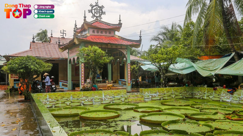 Chua-la-sen-dong-thap-doc-dao-giua-mua-nuoc-noi-mien-tay-dongthaptoplist