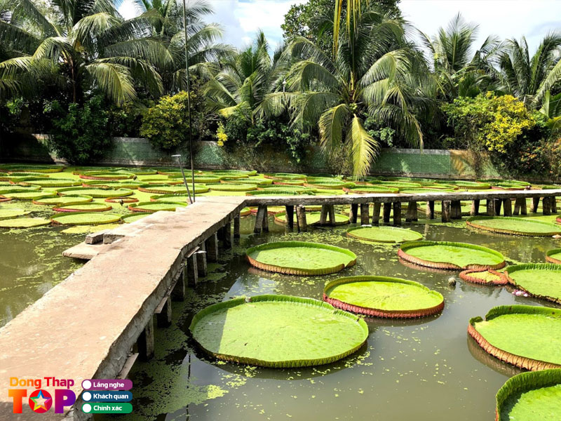 Gioi-thieu-chua-la-sen-dong-thap-phuoc-kien-tu-dongthaptoplist