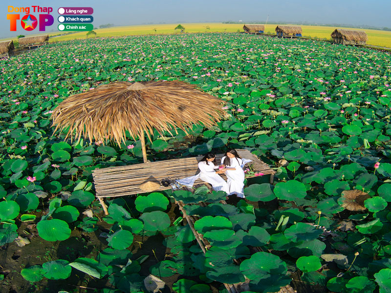 Luu-y-khi-du-lich-tham-quan-dong-sen-thap-muoi-dongthaptoplist
