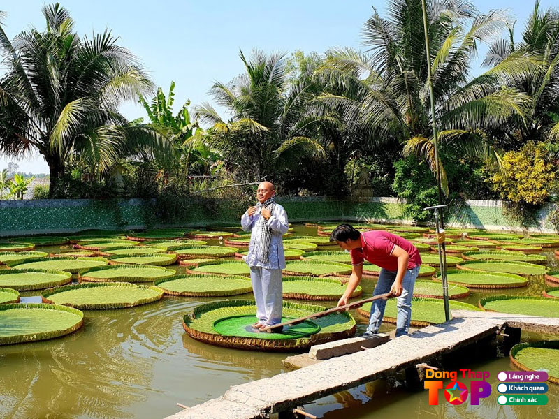 Nhung-hoat-dong-noi-bat-khi-tham-quan-chua-la-sen-1-dongthaptoplist