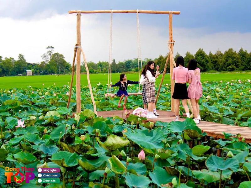 Nhung-trai-nghiem-khong-the-bo-lo-tai-dong-sen-thap-muoi-1-dongthaptoplist