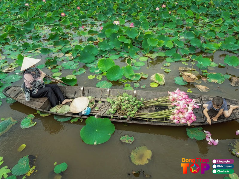 Nhung-trai-nghiem-khong-the-bo-lo-tai-dong-sen-thap-muoi-dongthaptoplist