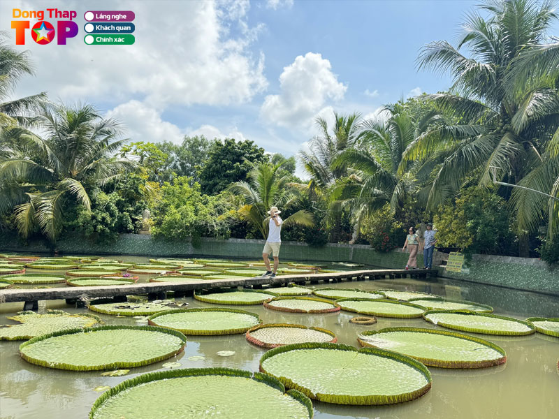 Phuoc-kien-tu-chua-la-sen-dongthaptoplist