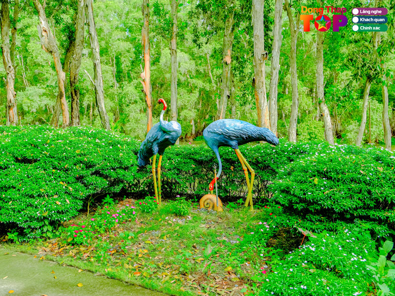 Thoi-diem-du-lich-ly-tuong-tai-vuon-quoc-gia-tram-chim-2-dongthaptoplist