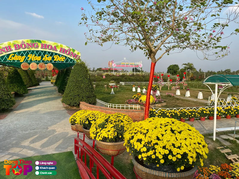 Thoi-diem-ly-tuong-de-tham-quan-canh-dong-hoa-sa-dec-dongthaptoplist