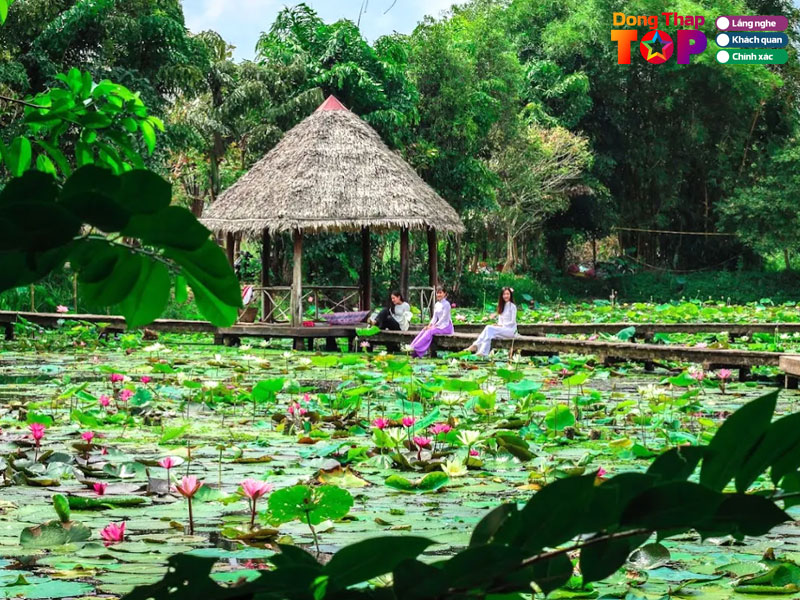 Tong-quan-khu-di-tich-xeo-quyt-my-tho-cao-lanh-dong-thap-dongthaptoplist