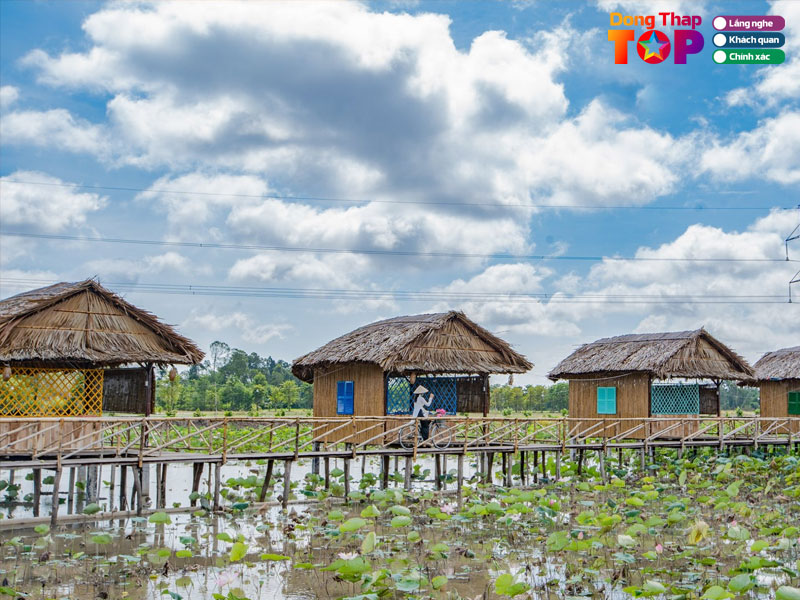 Tong-quan-khu-du-lich-sinh-thai-my-phuoc-thanh-dong-thap-dongthaptoplist