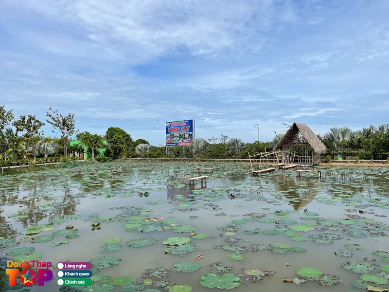 Trai-nghiem-hap-dan-tai-canh-dong-hoa-hong-sa-dec-1-dongthaptoplist