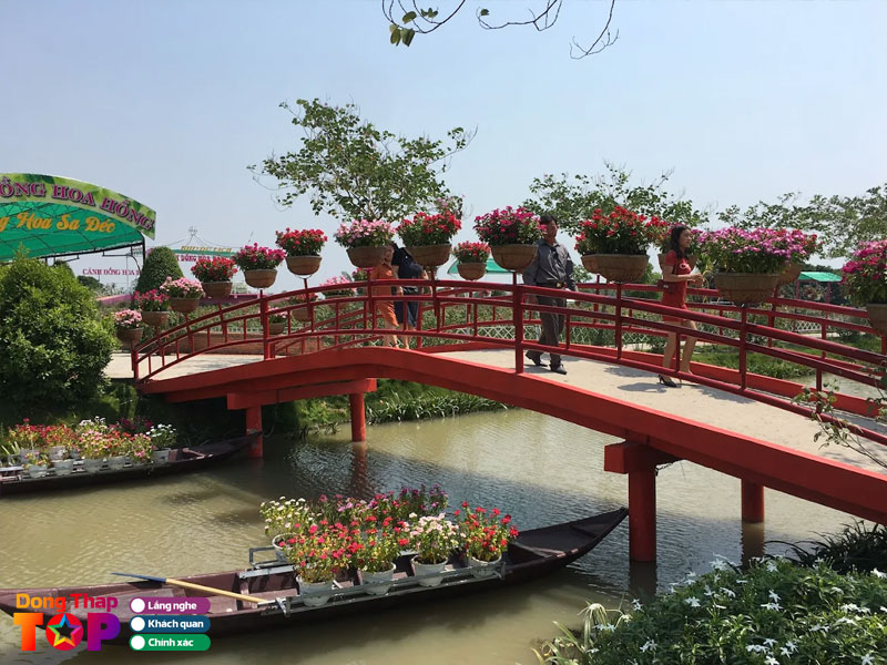 Trai-nghiem-hap-dan-tai-canh-dong-hoa-hong-sa-dec-dongthaptoplist