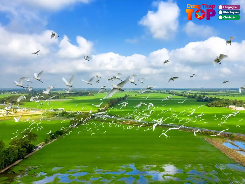 Vi-tri-va-cach-di-chuyen-toi-vuon-quoc-gia-tram-chim-dongthaptoplist