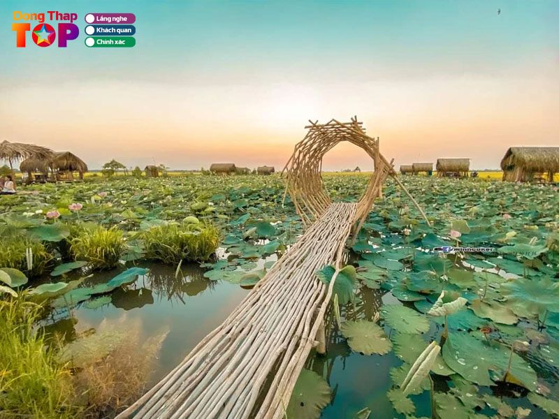 Du-lich-sinh-thai-hoa-dong-dongthaptoplist