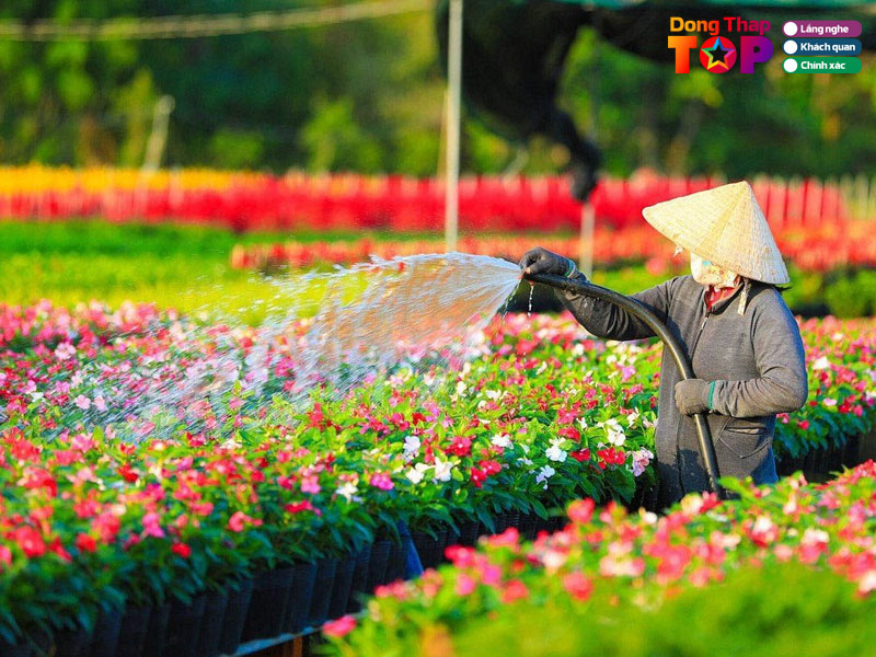 Kinh-nghiem-khi-di-chup-anh-tai-cac-diem-chup-anh-noi-tieng-o-dong-thap-dongthaptoplist