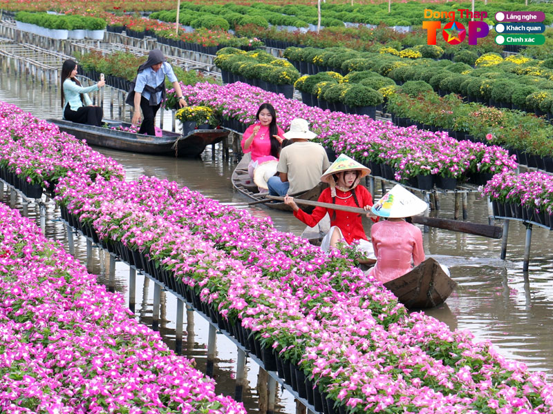 Lang-hoa-sa-dec-dongthaptoplist