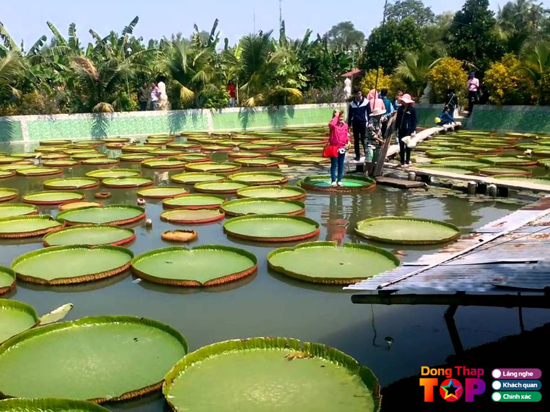 Phuoc-kien-tu-chua-la-sen-dongthaptoplist