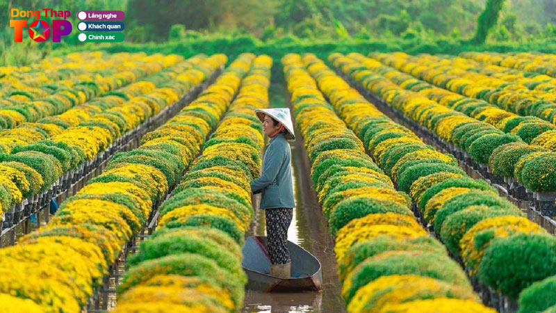 Top-10-dia-diem-chup-anh-o-dong-thap-len-hinh-sieu-dep-dongthaptoplist