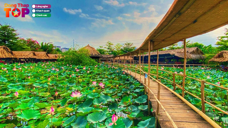 Trai-nghiem-10-khu-du-lich-sinh-thai-o-dong-thap-noi-tieng-dongthaptoplist