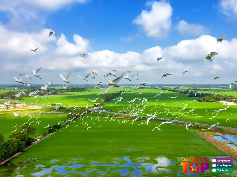 Vuon-quoc-gia-tram-chim-dongthaptoplist