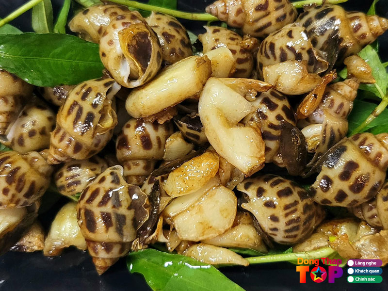 Bat-chot-quan-dongthaptoplist