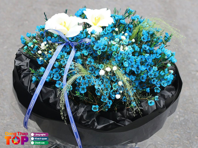 Goc-hoa-f2m-dongthaptoplist