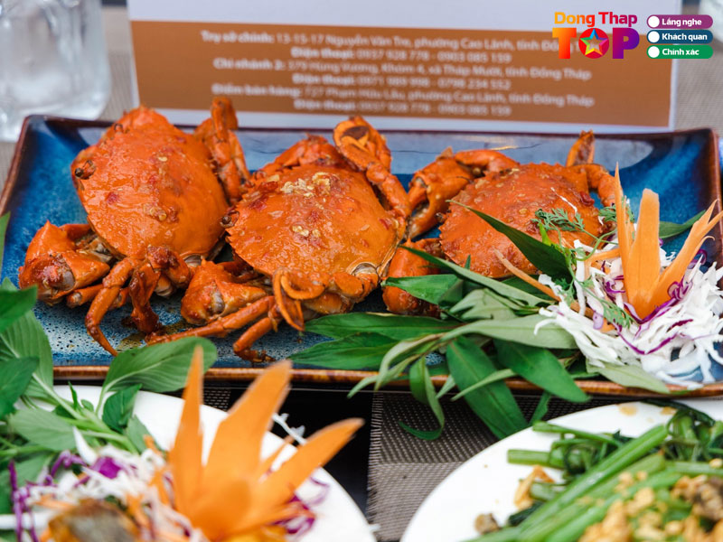 Hai-san-huong-bien-dongthaptoplist