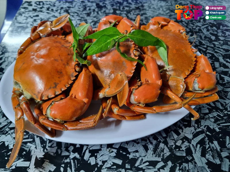 Quan-oc-ngay-dongthaptoplist