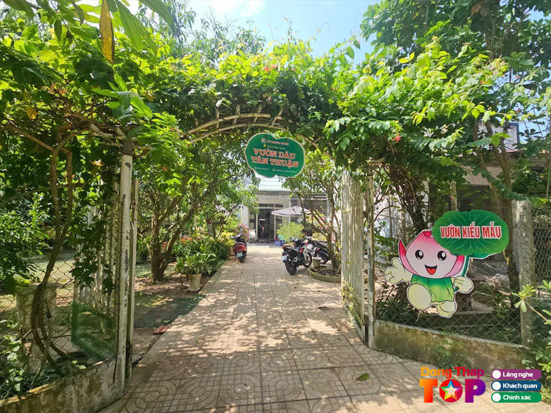 Vuon-dau-tan-thuan-cao-lanh-dongthaptoplist