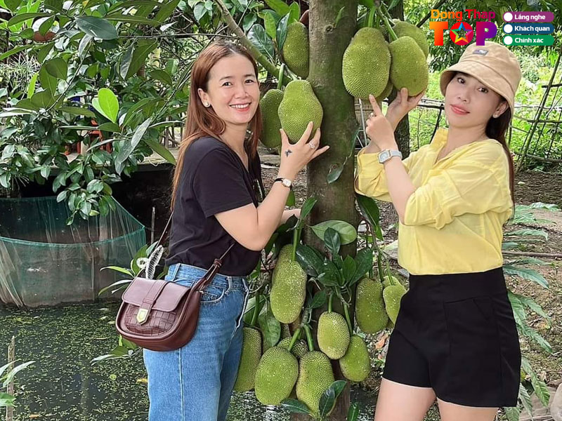 Vuon-trai-cay-minh-phat-dongthaptoplist